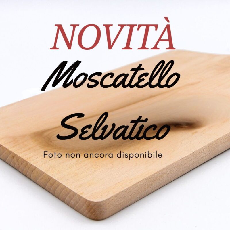 Moscatello Selvatico